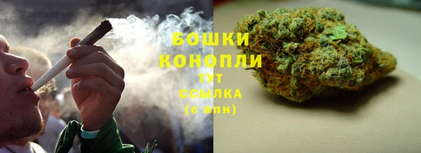 каннабис Майский